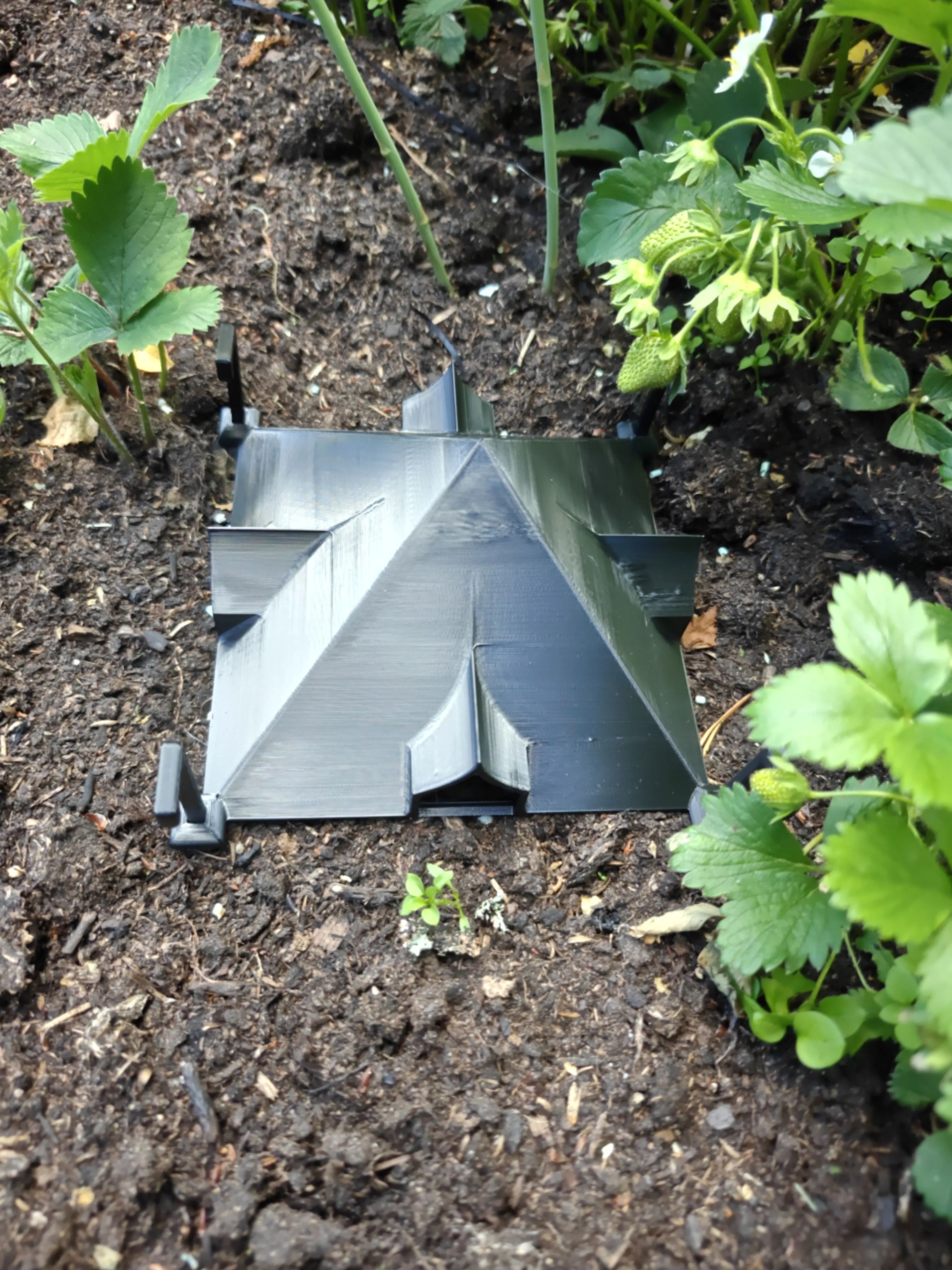 Slug Hotel